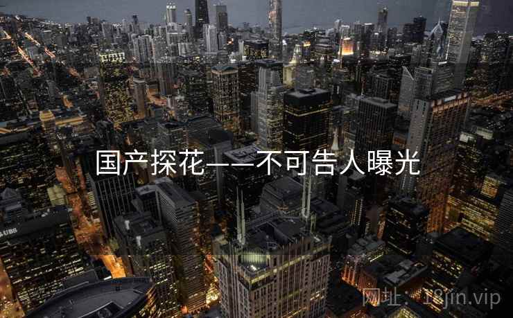 国产探花——不可告人曝光