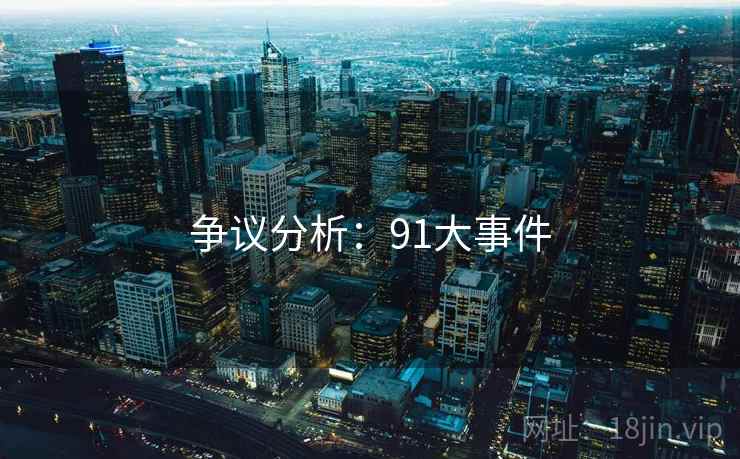 争议分析：91大事件