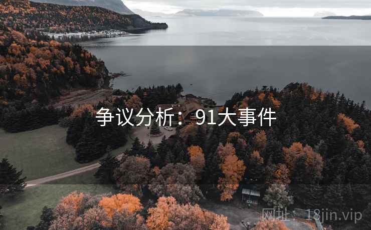 争议分析：91大事件