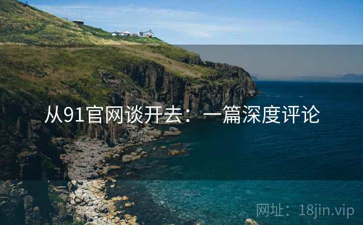 从91官网谈开去：一篇深度评论  第2张
