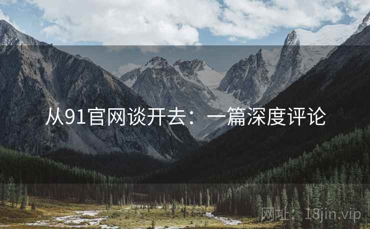 从91官网谈开去：一篇深度评论