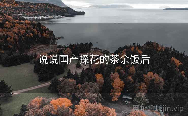 说说国产探花的茶余饭后