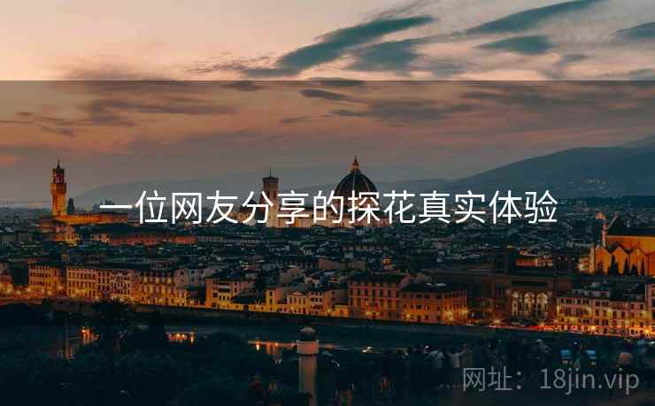 一位网友分享的探花真实体验