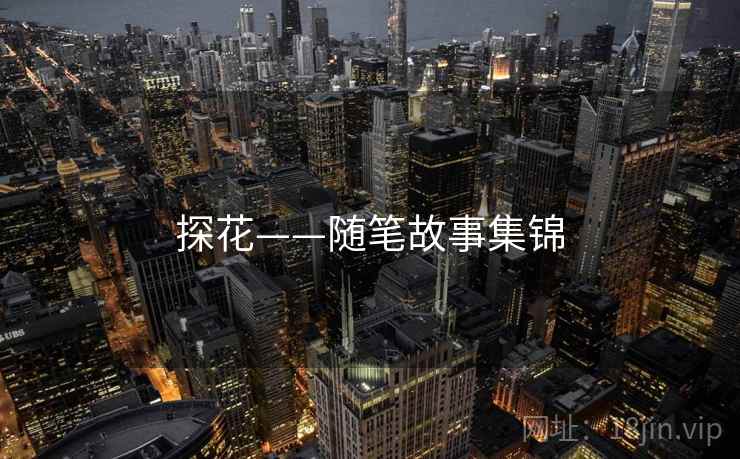 探花——随笔故事集锦