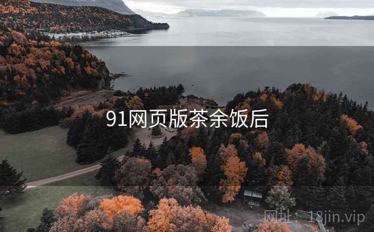 91网页版茶余饭后