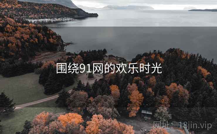 围绕91网的欢乐时光