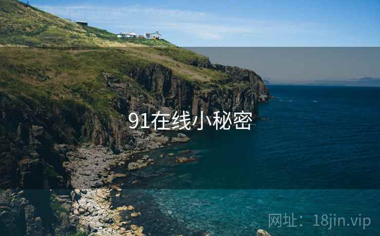 91在线小秘密