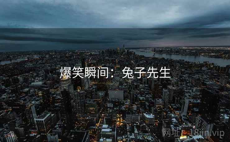 爆笑瞬间：兔子先生