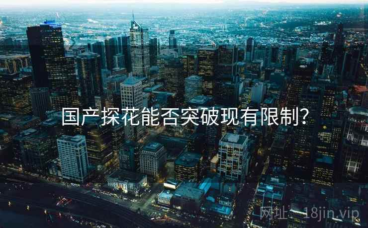 国产探花能否突破现有限制？