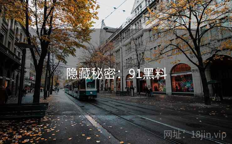 隐藏秘密：91黑料