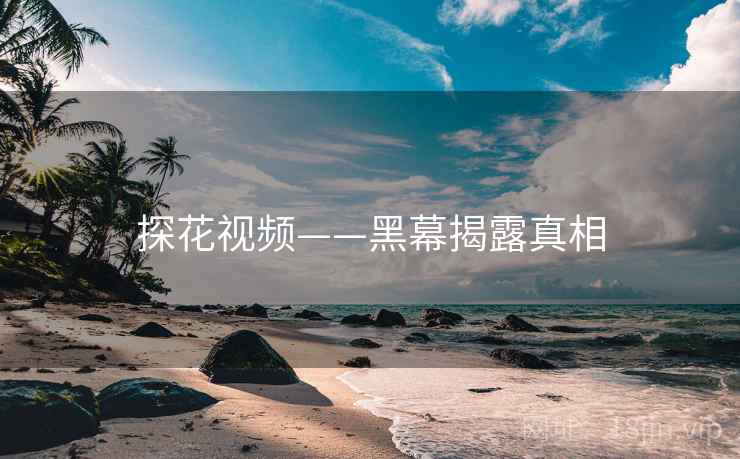 探花视频——黑幕揭露真相