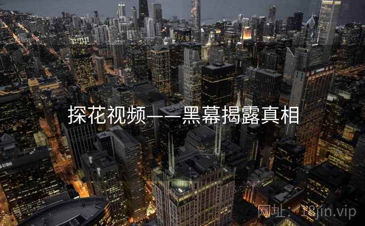 探花视频——黑幕揭露真相
