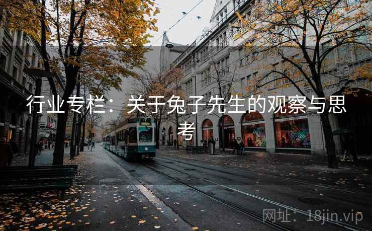 行业专栏：关于兔子先生的观察与思考
