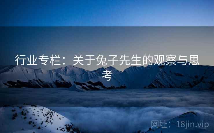 行业专栏：关于兔子先生的观察与思考