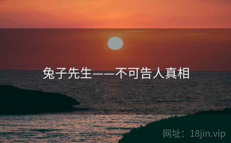 兔子先生——不可告人真相
