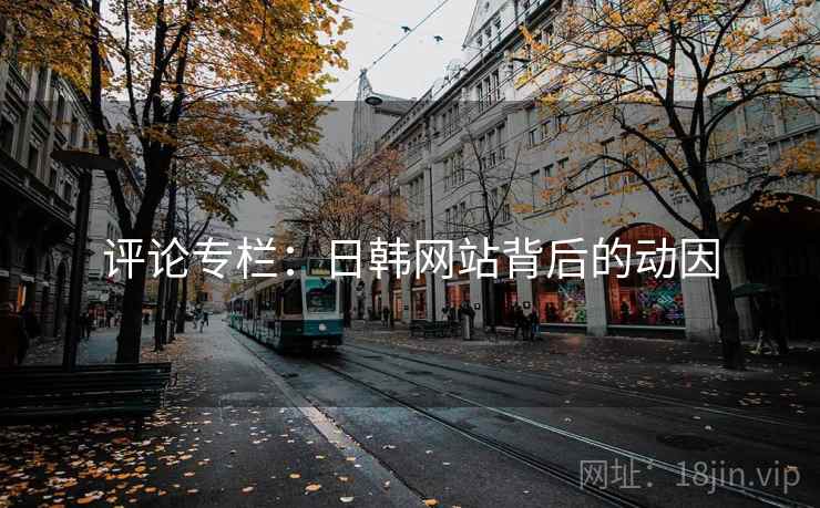评论专栏：日韩网站背后的动因
