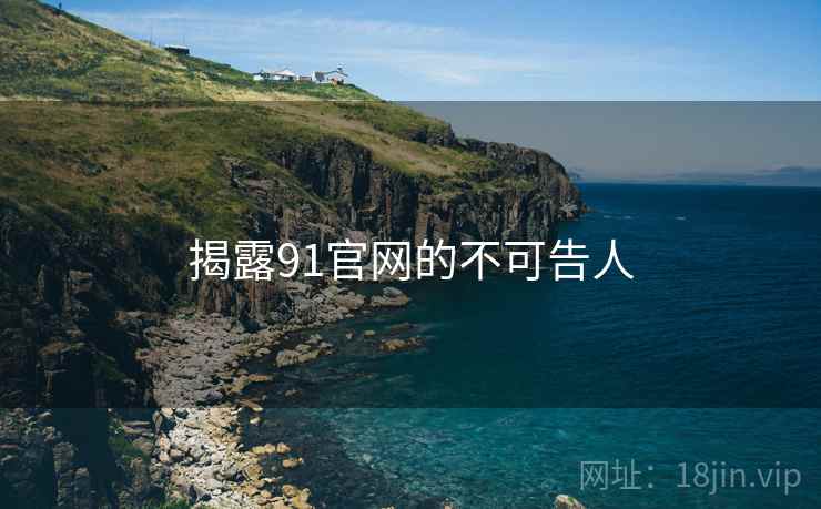 揭露91官网的不可告人