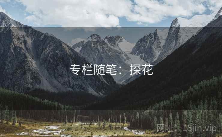 专栏随笔：探花
