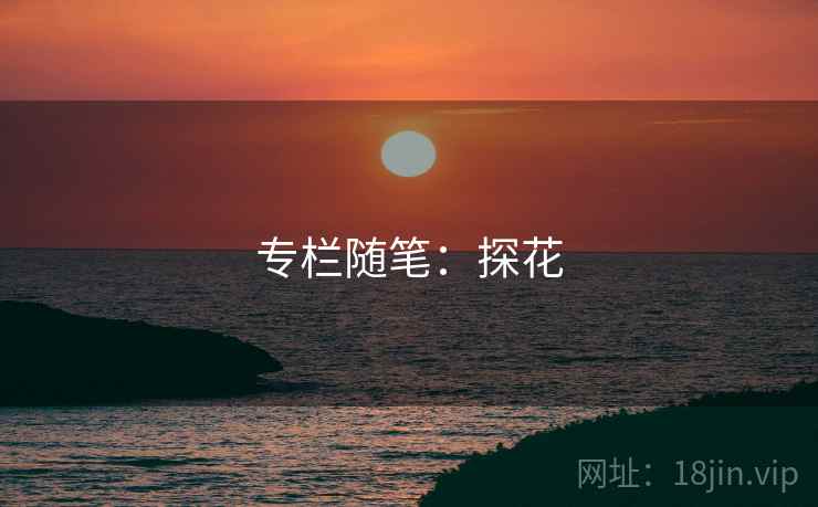 专栏随笔：探花