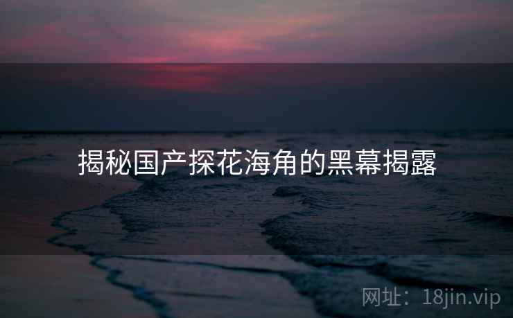 揭秘国产探花海角的黑幕揭露
