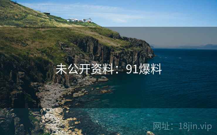 未公开资料：91爆料