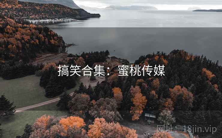 搞笑合集：蜜桃传媒