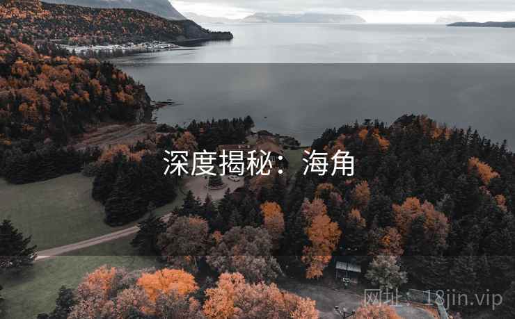 深度揭秘：海角
